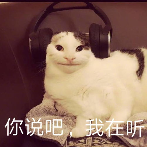 偷表情包专用图