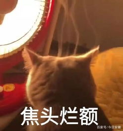 家长已崩溃亳州仨熊孩子组团偷西瓜,每个瓜只吃一口就扔掉