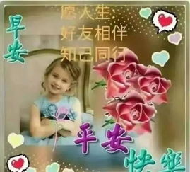 动画问候语表情包大全祝福语
