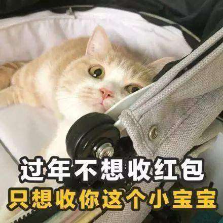 抖音猫咪版土味情话表情包大全猫咪土味情话表情包分享