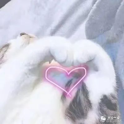 选我我超甜表情包温差