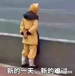 网红黑帽悬猴表情包昆明