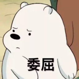一次过关无缝换乘珠海花园式新口岸,启用时间就在