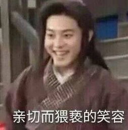 叶文灏表情包东北