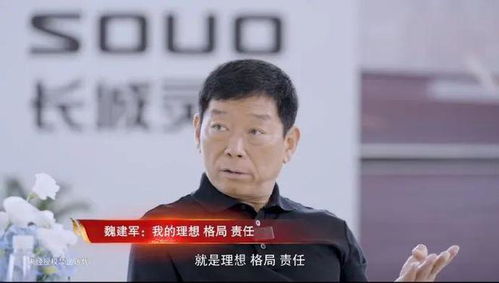 魏建军为何屡屡痛批行业乱象看明白的人还不多