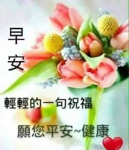 阳春三月早上好图片漂亮祝福关心好朋友早上好图片表情包