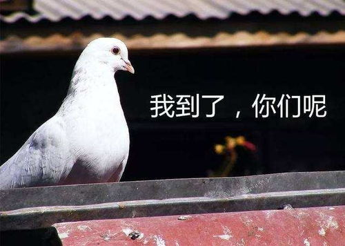 hr的世界里没有容易二字,除了......