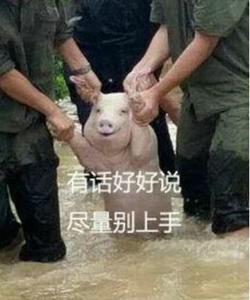 任志强被查涉嫌严重违纪违法