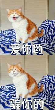 在哪一刻你觉得你和朋友再也做不成朋友了