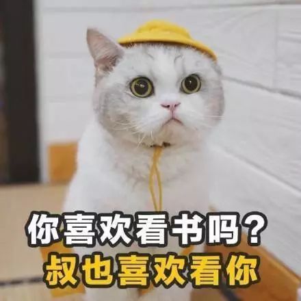所有六合人,七夕超强脱单攻略看这里...
