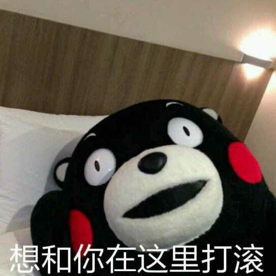 技术帖直男和小仙女都喜欢用什么样的表情包