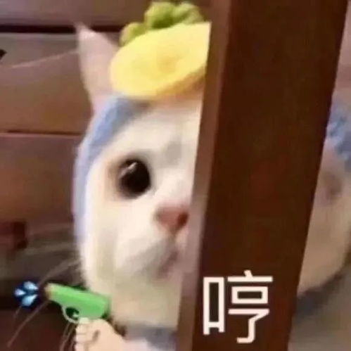 恶之花表情包图片表情包