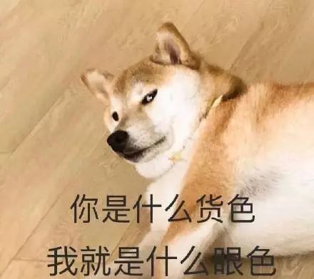 虚拟歌手的不同道路,还有学调教死路一条
