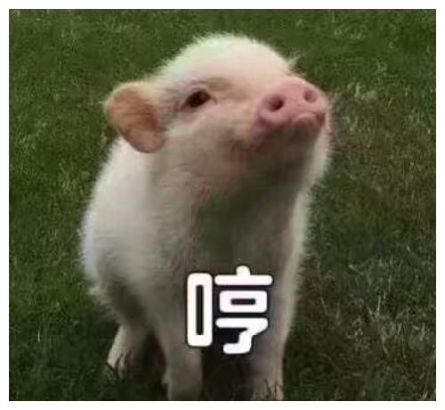 搞笑段子有天去饭店吃饭,结账后刮发票发现中了50元的奖