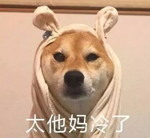 暴跌至6强冷空气来袭卫辉一年中最冷的27天已经来了