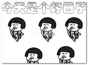 521图片表情包求你