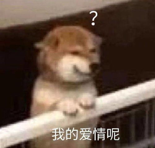 在西安千万不要一个人吃海底捞心态容易崩