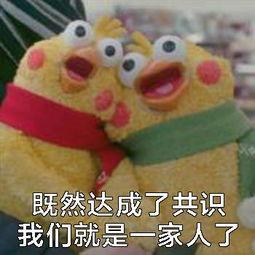 996上班族如何选择靠谱的成人高考考前辅导班