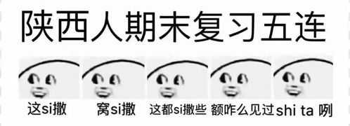 学了忘忘了学学了还得忘期末考试专属表情包高能预警