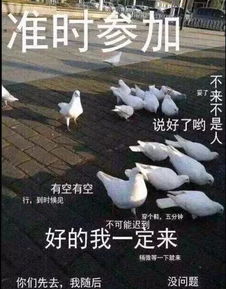 当代大学生消费行为大赏,为了凑单满减我们可以有多拼