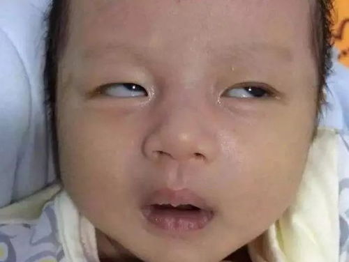 各种各样的表情包婴儿