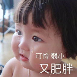 2019小学生开学图鉴,做人好难哈哈哈哈哈哈哈