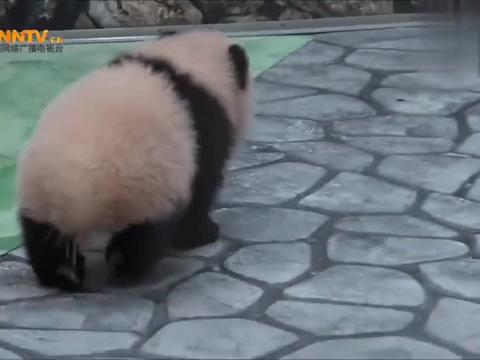 挠痒