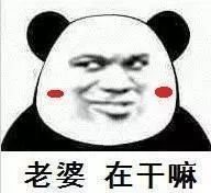 男生聊天破冰表情包嗨宝贝,你在干嘛