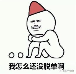 tom网陕西德丰