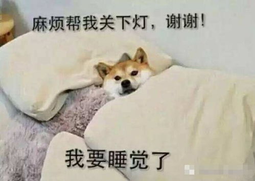 想你想你睡不着表情包入睡