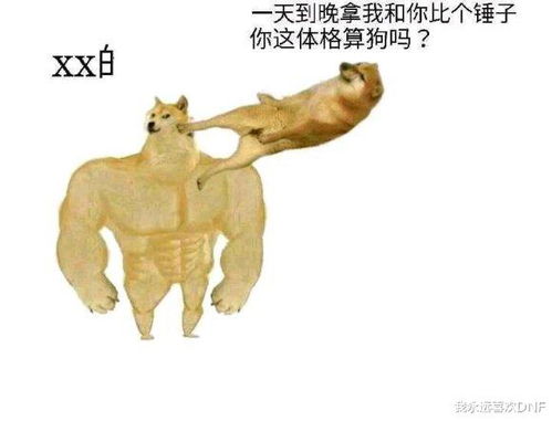 肌肉柴与废材狗表情包第二弹搬至网络