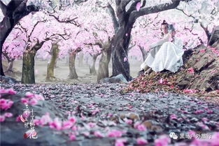 平谷桃花节三生三世十里桃花穿越万亩花海北京千岛湖金海湖