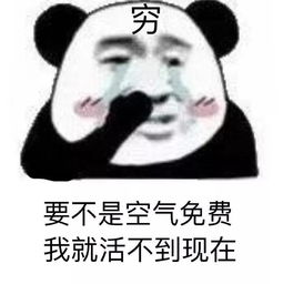 成功加油站丨你知道哪些励志故事背后的真相