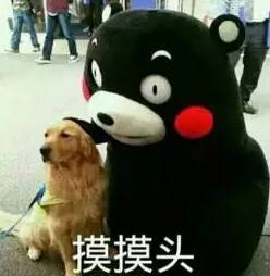 双十一,将不吃土进行到底
