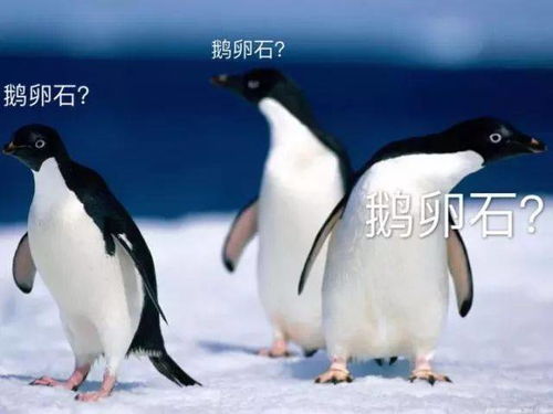 厕上参考︱把妹大全致我们单纯的小美好文化频道
