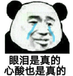 真哭了表情包哭泣