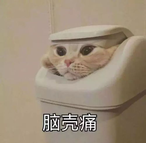 大风降温下周归来,青岛要告别20还有这几个重要消息......