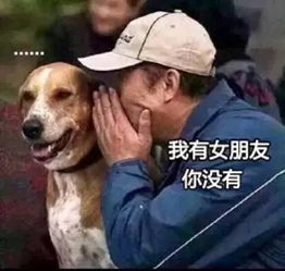 网友喊话李易峰100w雇你过七夕