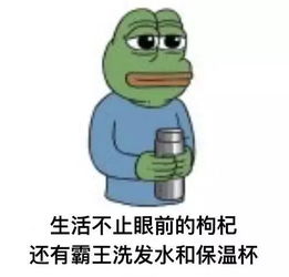 我的不爽,不怪郑爽