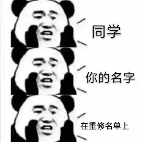 有没有交作业可以带上的表情包跪求