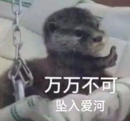 没有空中飞人,显卡永远不当人