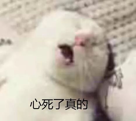 买了相机却懒得看说明书快看看省时省力的快速入门指南吧