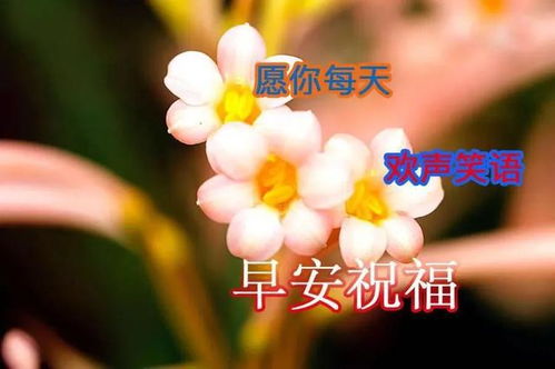 生活很现实,当你啥都不是时,只能低着头,让别人说了算,早安