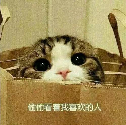 你瞅啥图片搞笑表情包单身汪