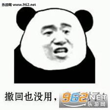 撤回我也看到了表情包撤回消息表情包下载乐游网游戏下载