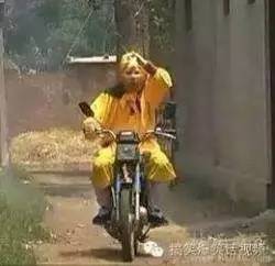 小心它他跟你拍完照就要钱,建设街孙悟空又出现了谁来收了这泼猴