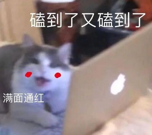 魏大勋公开秀新欢,她凭什么赢杨幂