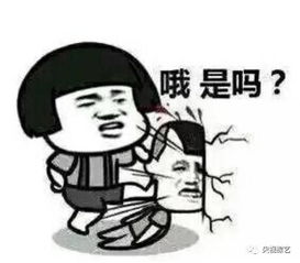 表情包不能乱用已有人被索赔40万元