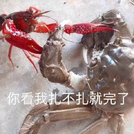蹦迪gif蹦迪专用动态表情包斗图表情