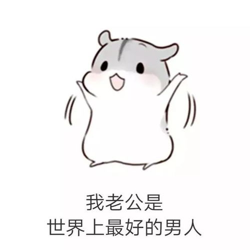 仓鼠套路表情包男朋友生气了该怎么哄